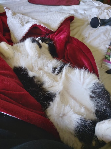 Smooshy tummy alert.