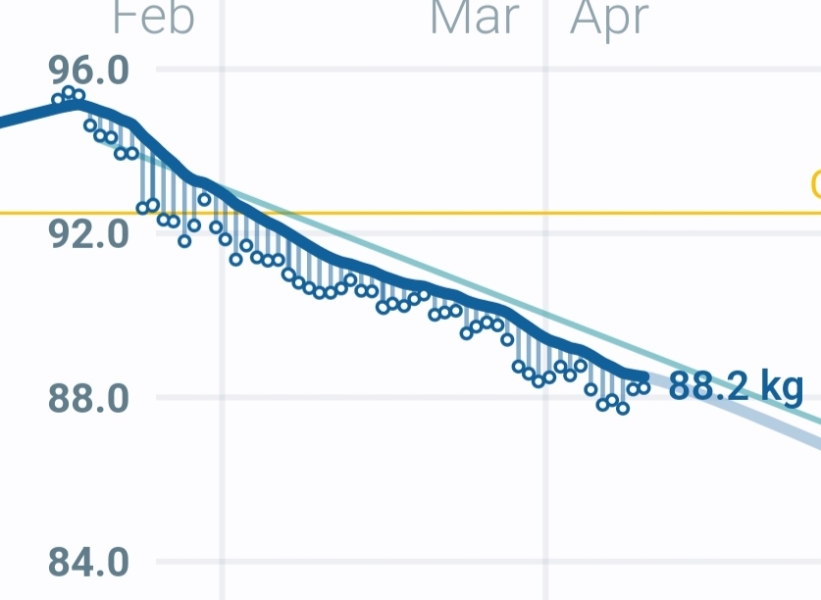 Ozempic - For those of us a few months in