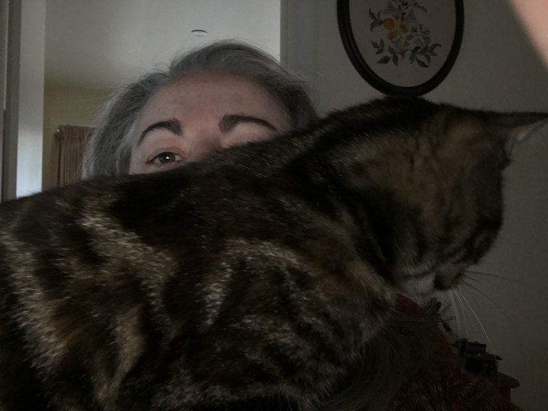 I am not bloody calling it Velcro!!