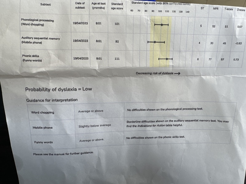 Yr 3 son below expected levels because he can't get things from his head to paper