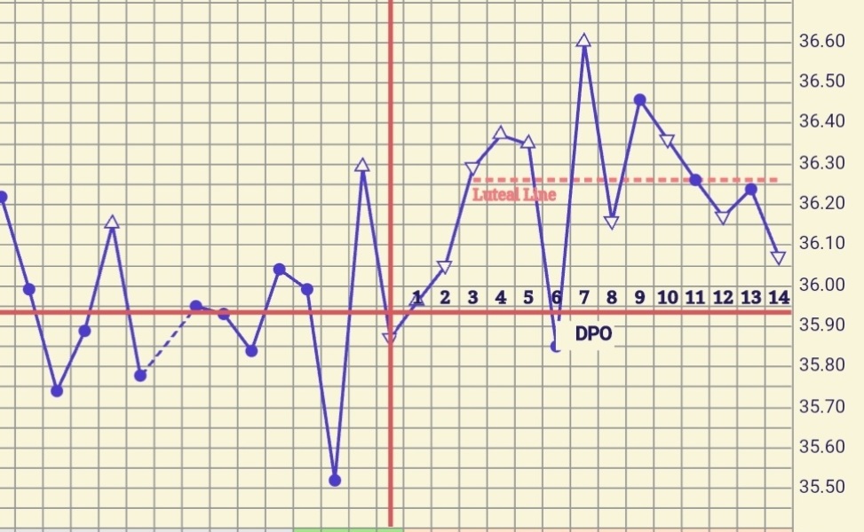 Ovulation date 25th or 26th March - TWW thread