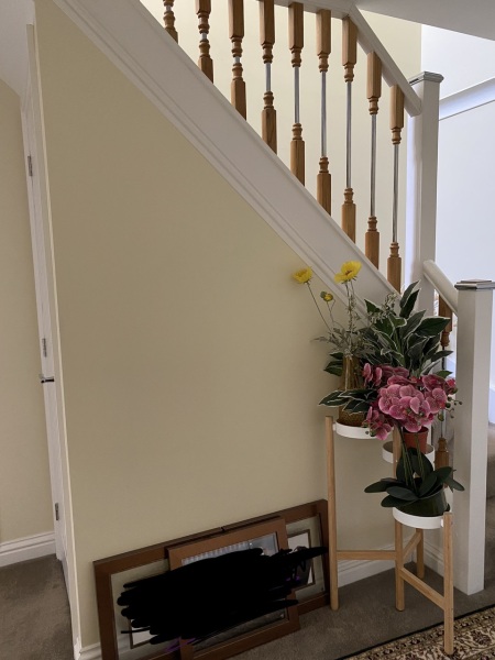 Ideas for under stairs cupboard