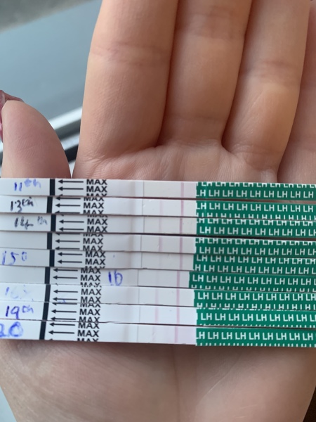Is this ovulation? Ovulation strips