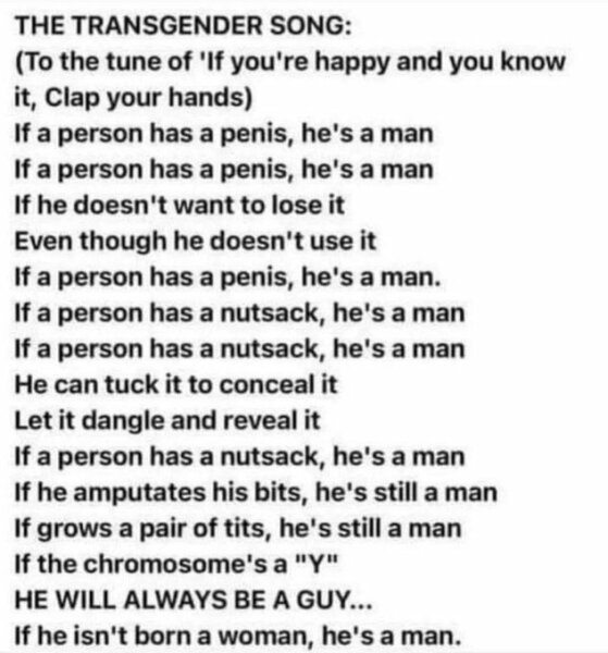 Roderic O Gorman (Irish Minister) tweet for trans visibility. Huge backlash in Ireland. Read comments under tweet. 