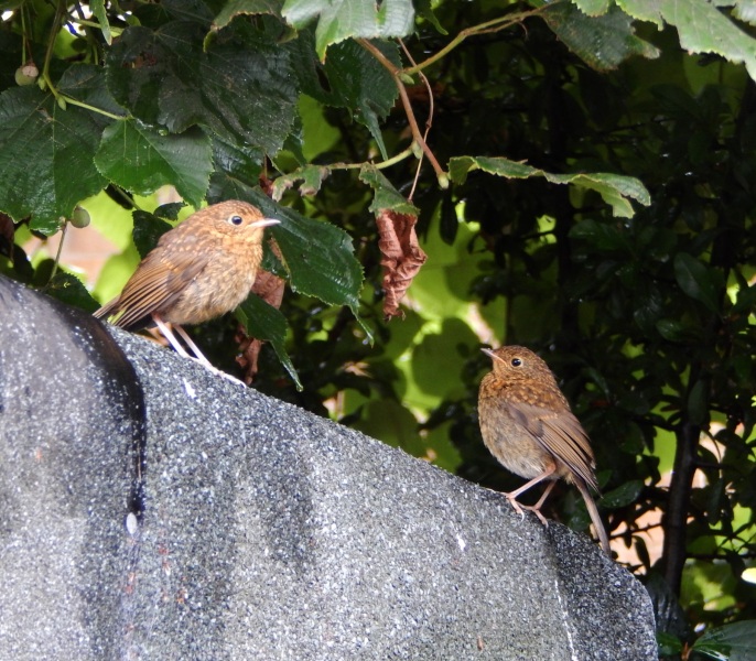 Thread 6 - TalkExiles: "Yup, still round."