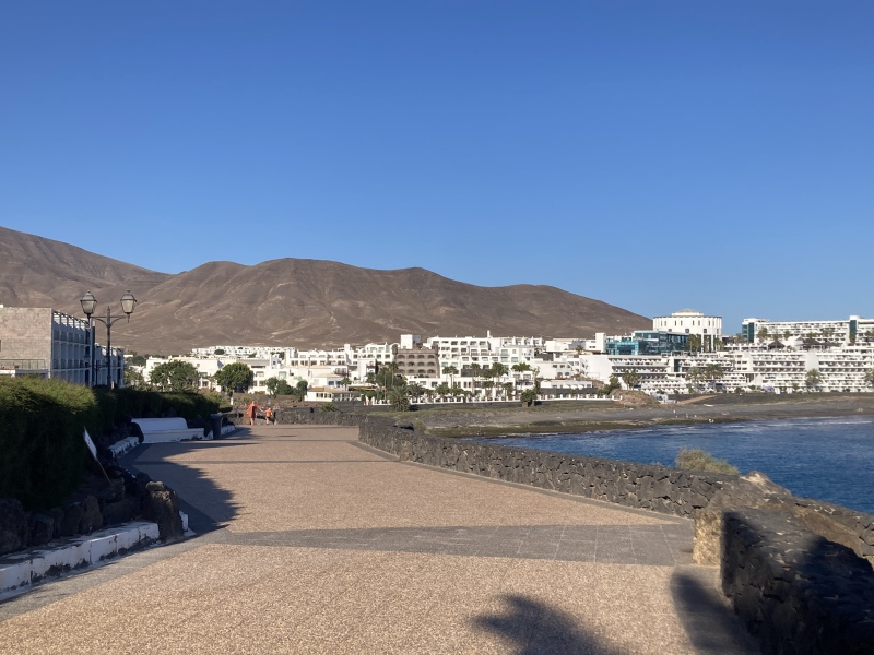 Canaries - where would suit us?