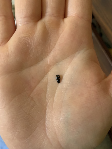 Baby being bitten!!! By what?