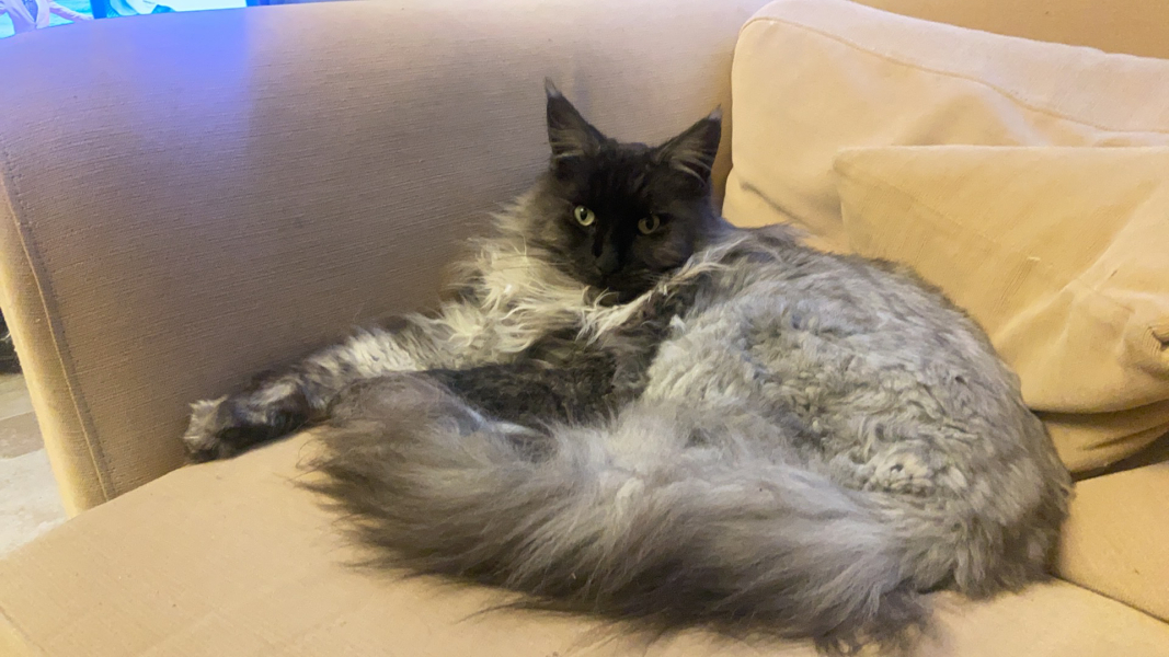 Cancer Support thread 86 - Stay Positive 