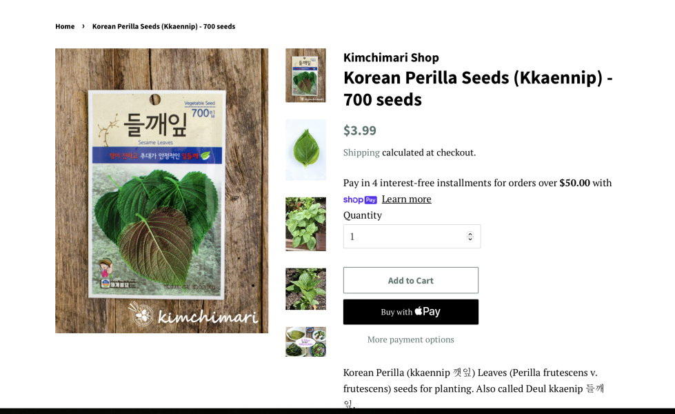 MsLatté’s Daebak Cybercafé (Kdrama addicts #40): The Filthy Noonas’ rapidly expanding flock gambol into spring with a giddiness only matched by Junkook’s drunken vlives