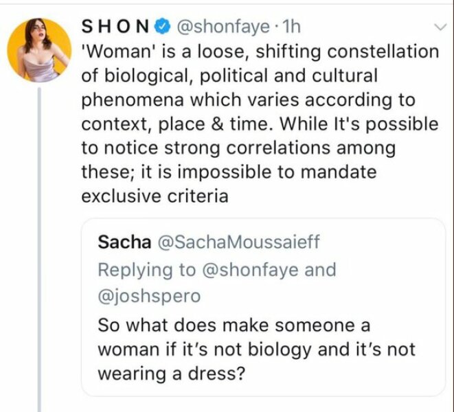 What is a woman, by modern standards and definitions?