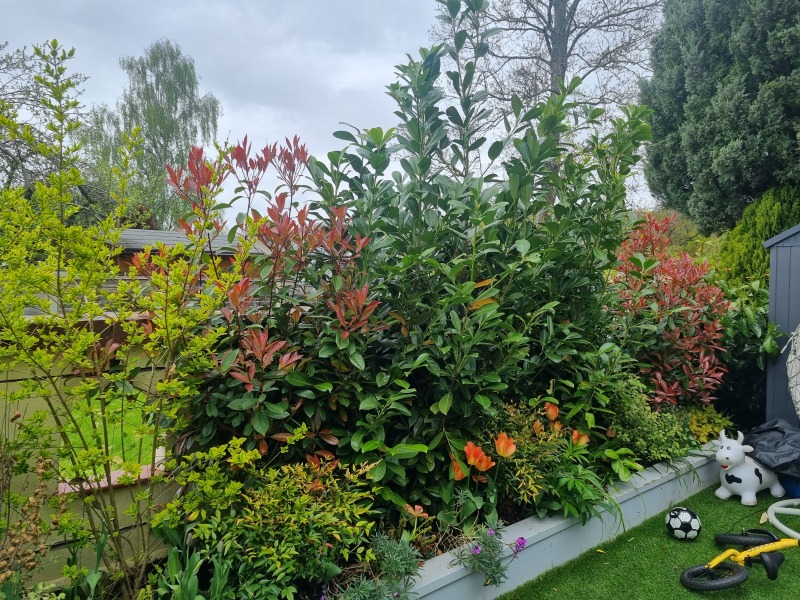 To want privacy in my own back garden?