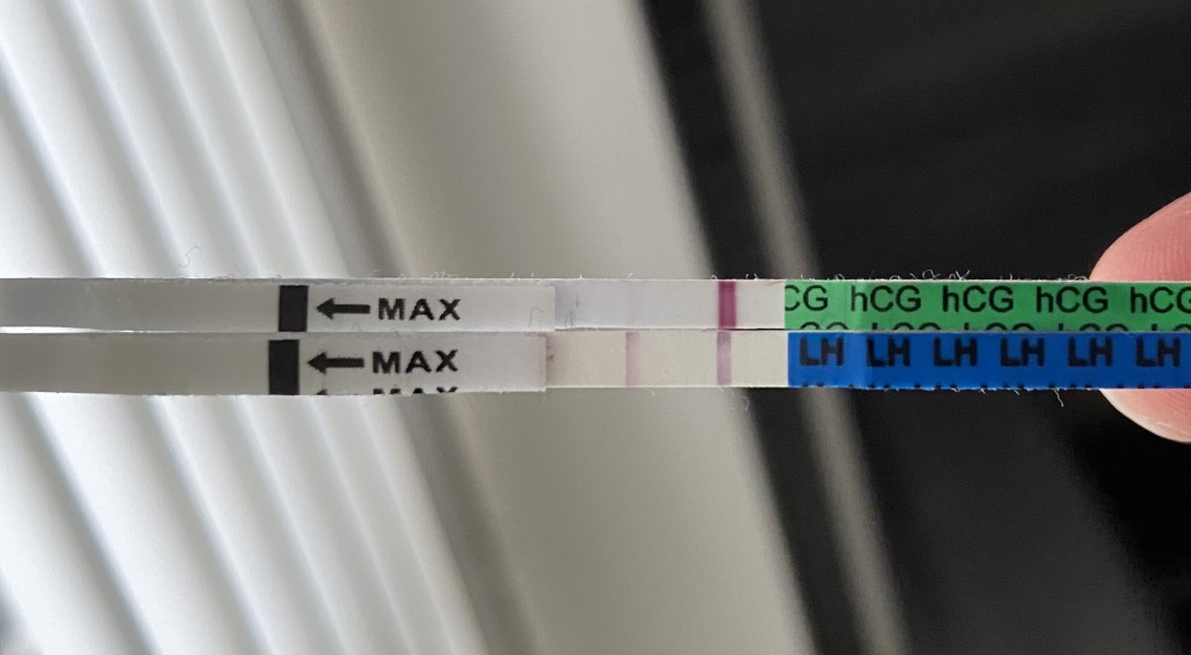 POSITIVE OVULATION