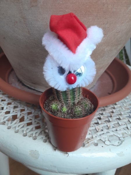 How do I remove sinister Santa outfit from a cactus?