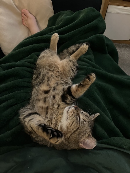 Meet Eddie