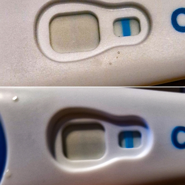 Clear blue evap line