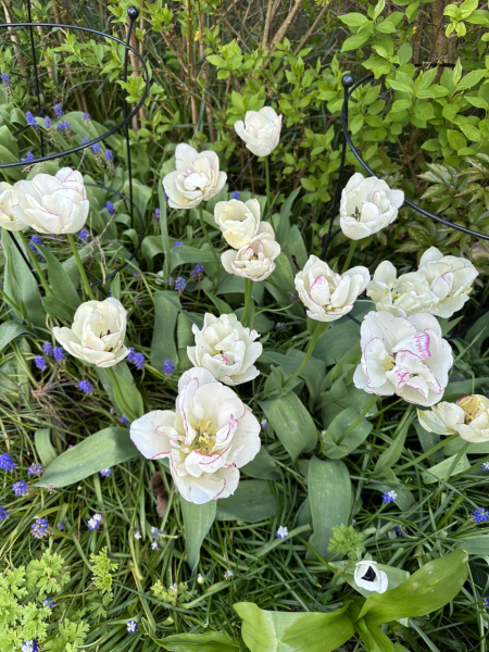 Autistic women assemble!