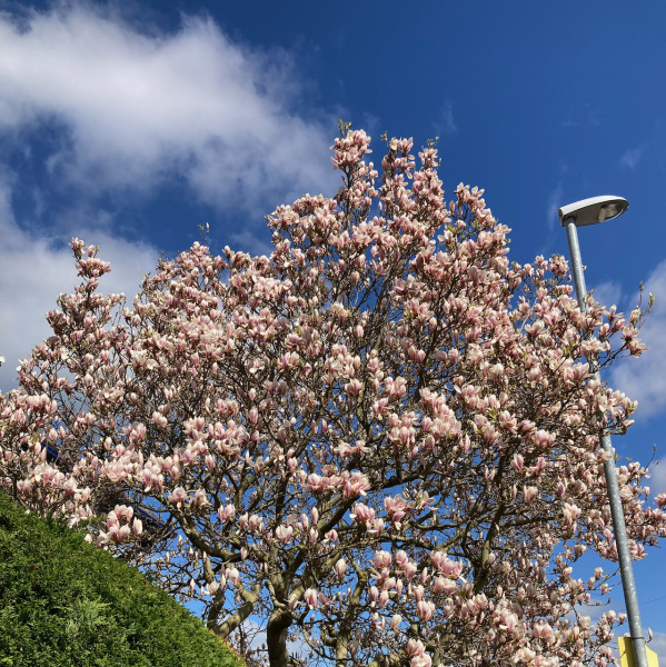 Thread 6 - TalkExiles: "Yup, still round."