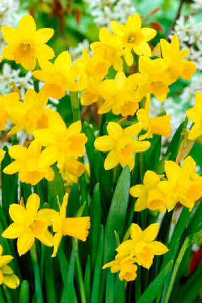 Any Witches Here?- Part 18