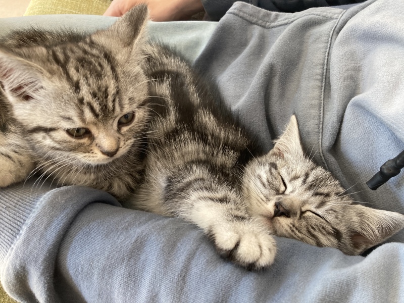 Sisters need names 