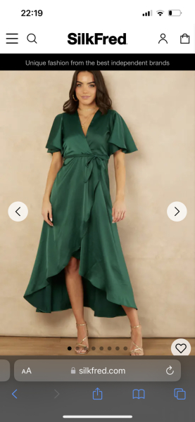 Dress for dinner help pls!