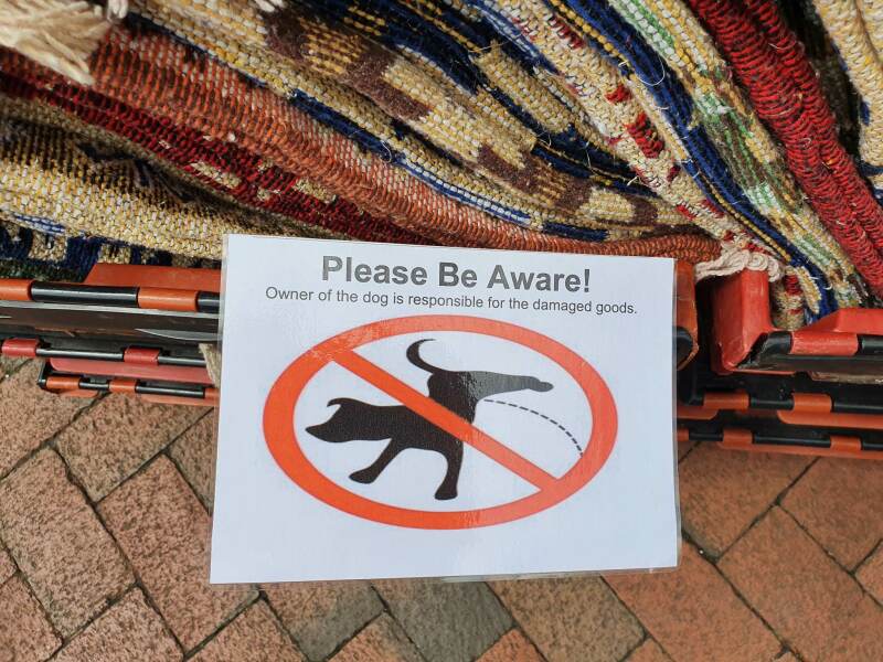 to be alarmed that more and more places are allowing dogs?