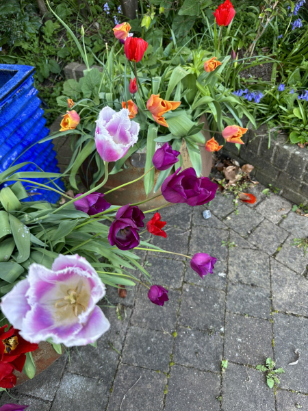 Autistic women assemble!