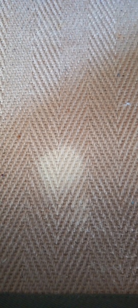 Bleached rug with stain remover. Help!