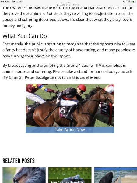 Anyone watching the Grand National? 