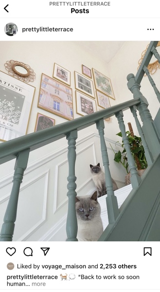 What shall I do with the bannisters? Something brave? 