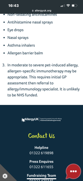 Stressed about rehoming dog as GF is allergic
