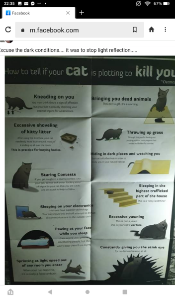 Cats used to be worshiped as Gods...