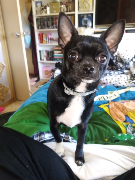 Autistic women assemble!