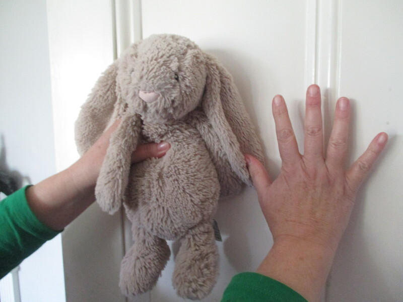 Anyone have a bunny rabbit like this? Desperate mum.