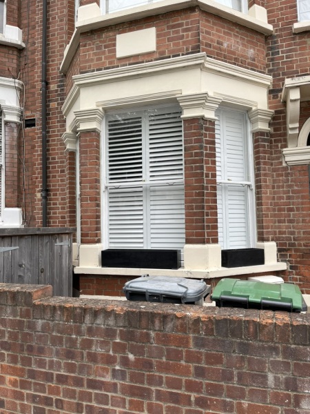 What should I plant in my window boxes?