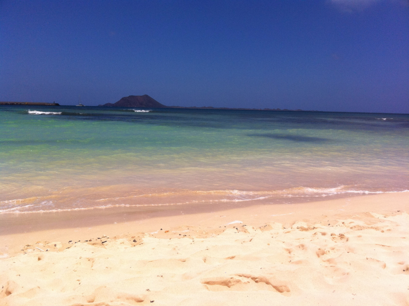 Autistic women assemble!