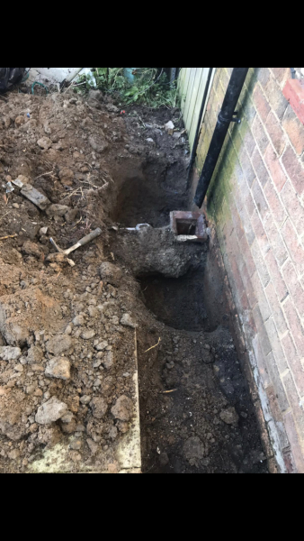 Damp/ pointing HELP