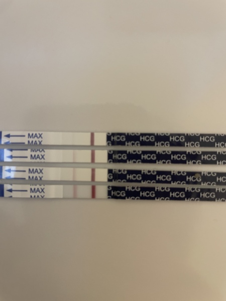 12 dpo line