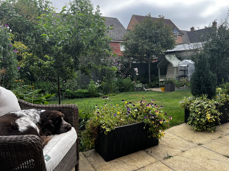 Idiots guide to a new build home garden