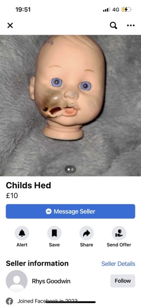 Most bizarre thing on Facebook market place