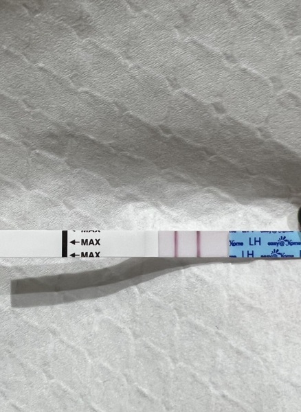 Positive OPK after stopping BF?