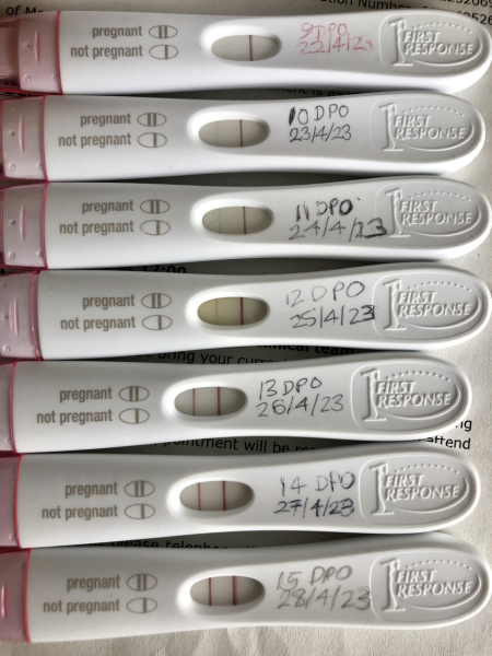 Due January 2024 🎉