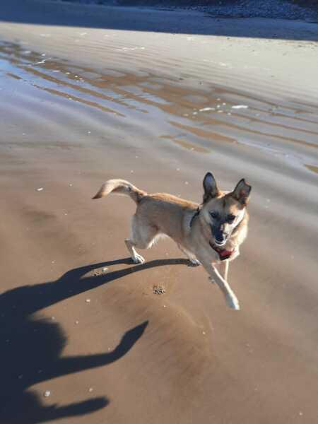 Autistic women assemble!