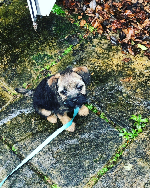 Cancer Support thread 86 - Stay Positive 