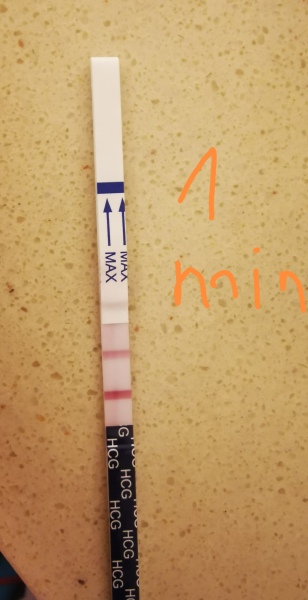 Please calm me down - test line pregnancy test