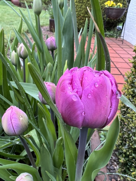 Show Us Your Pictures 6