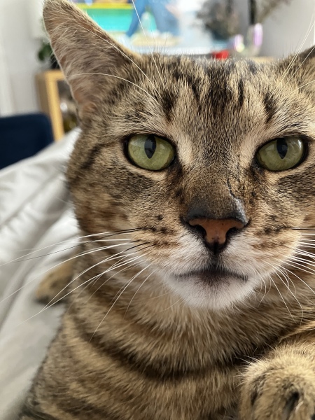 Meet Eddie