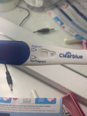 Am I pregnant?