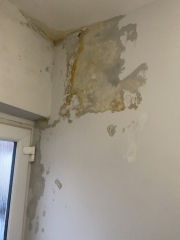Damp and mould dodgy landlord help needed