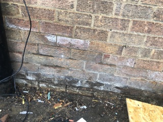 Damp/ pointing HELP