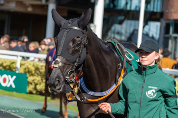Anyone watching the Grand National? 